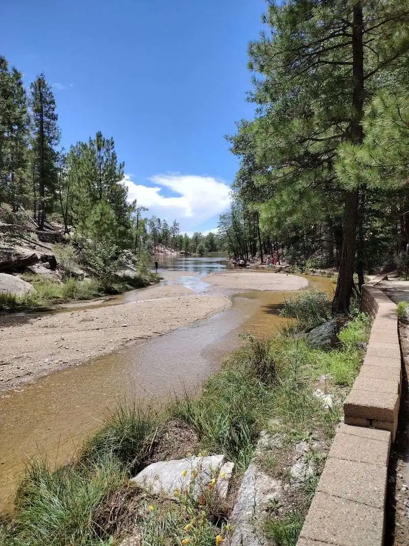 Mount Lemmon recreation area near the top