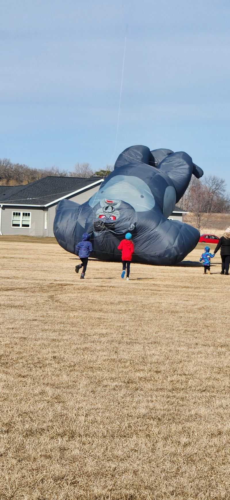 Sleigh & Cutter Festival (Waseca)