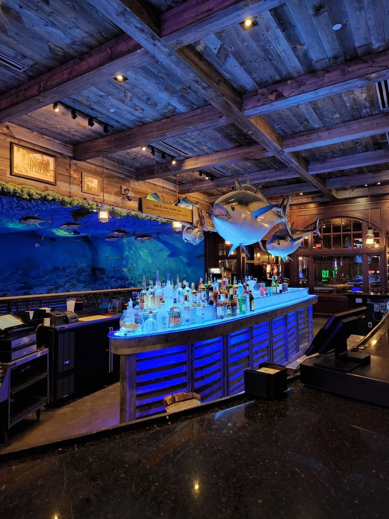 What To Expect With Service