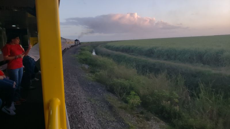 Route highlights through cane country