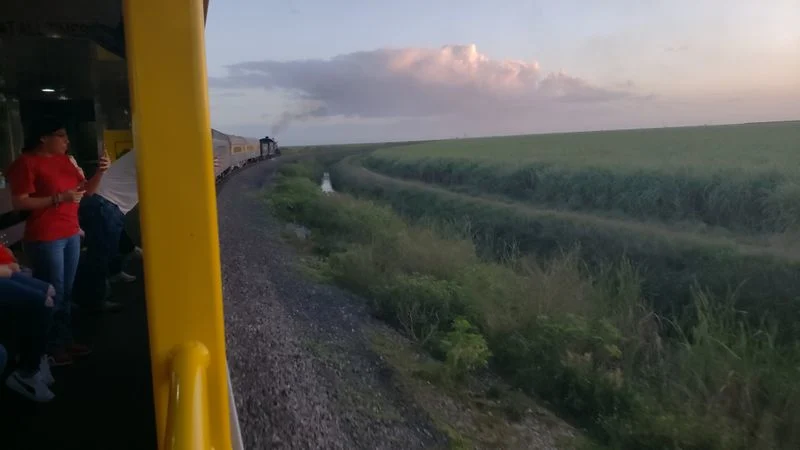 Route highlights through cane country