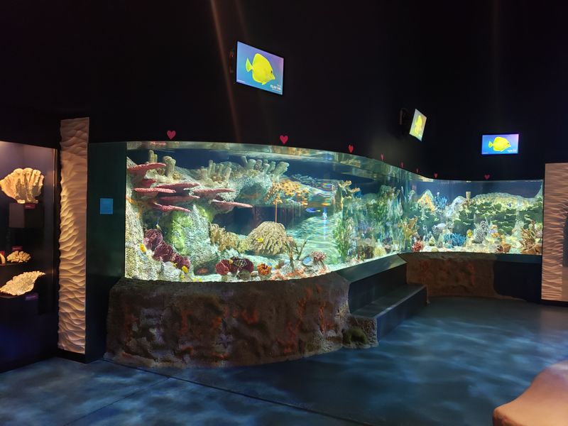 Cook Museum of Natural Science