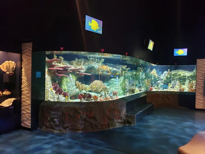 Cook Museum of Natural Science