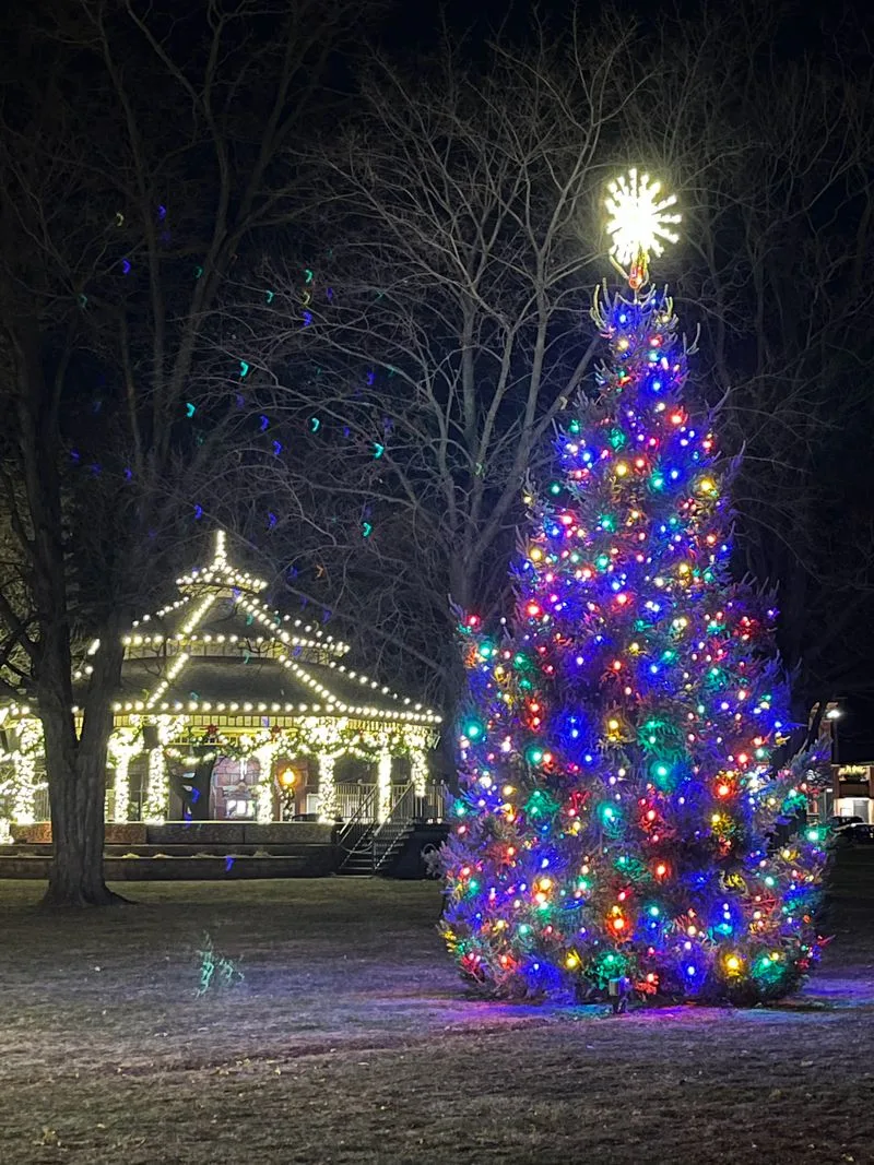 Knickerbocker Ice Festival (Lake Mills, WI)