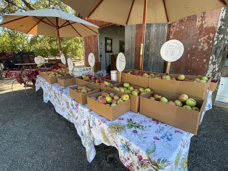 Sebastopol, California