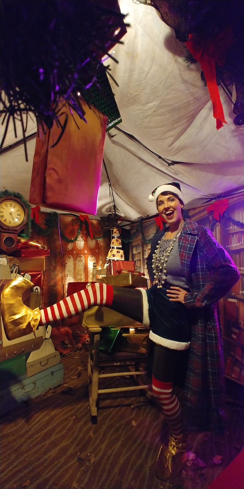 Asheville Winter Wonderland