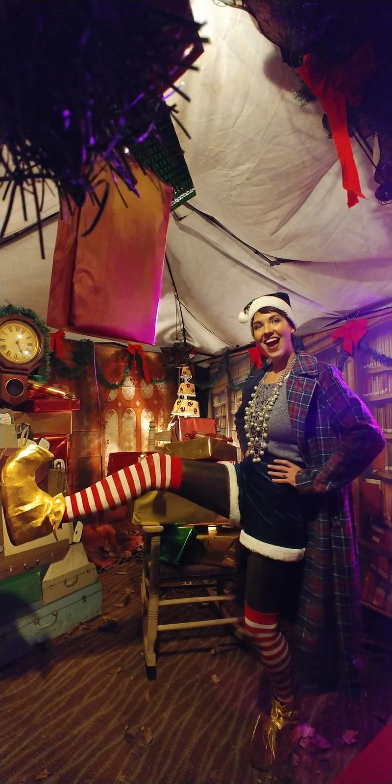 Asheville Winter Wonderland