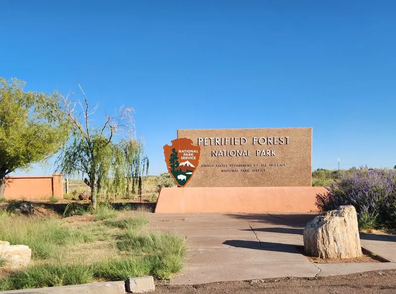 Petrified Forest's Ancient Logs