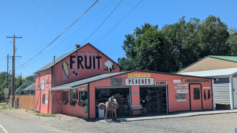 Conclusion: Why Palisade Appeals to Those Seeking Less