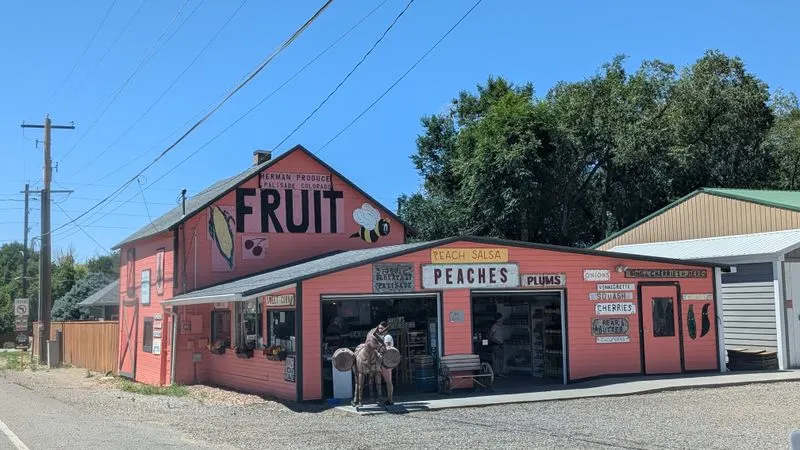 Conclusion: Why Palisade Appeals to Those Seeking Less