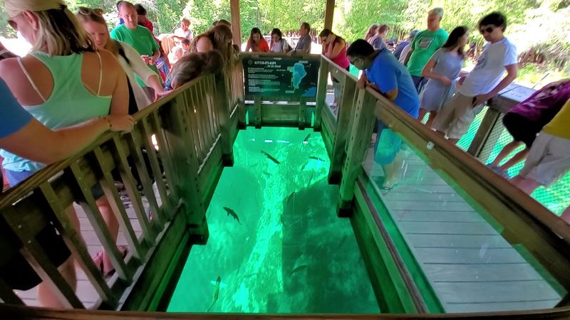 Kitch-iti-kipi (Big Spring)