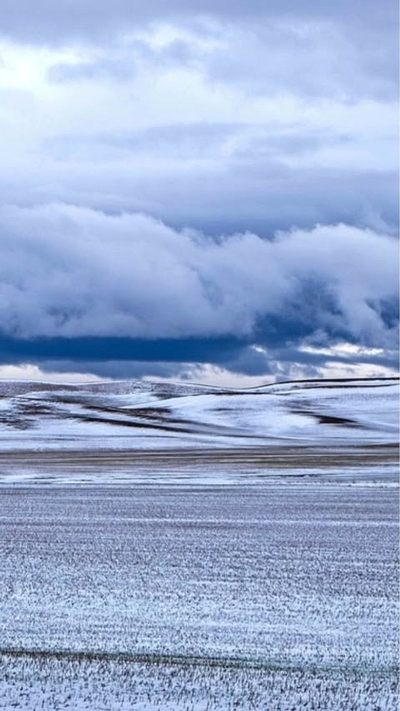 Palouse Viewpoint Photo Pause