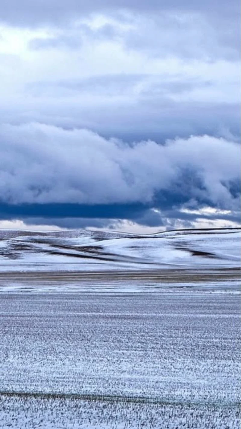 Palouse Viewpoint Photo Pause