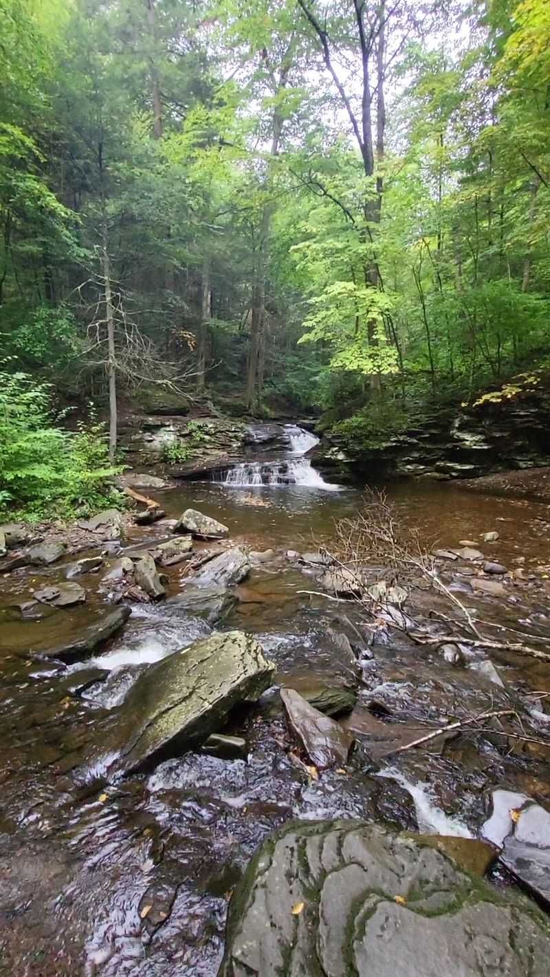 Ricketts Glen State Park &ndash; Benton