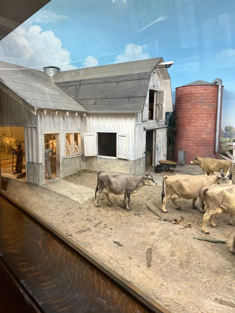 The Louisiana Experience