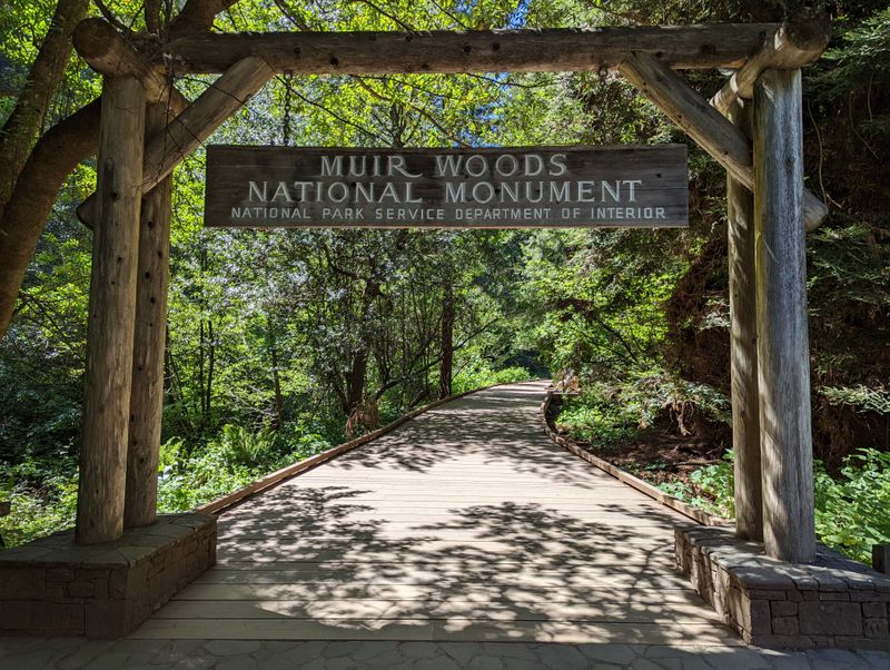 Boardwalk Ease and Access