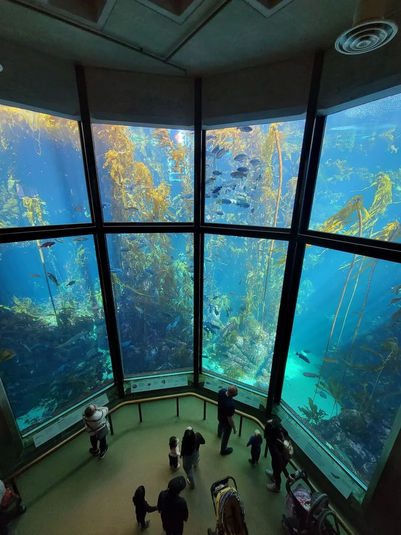 Monterey Bay Aquarium