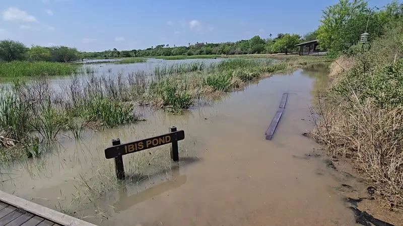Estero Llano Grande State Park