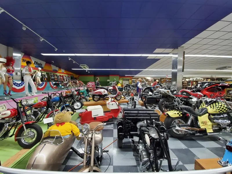 Family-Friendly Highlights