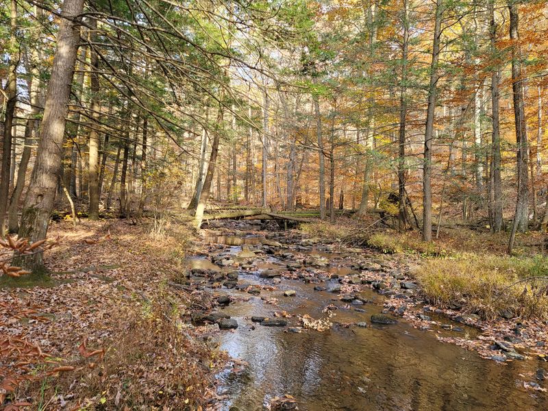 Tuscarora State Forest