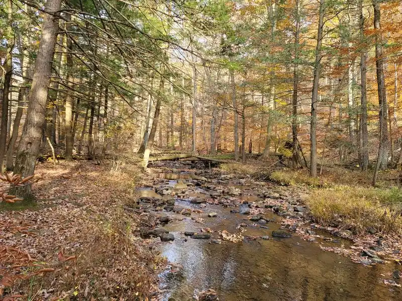 Tuscarora State Forest