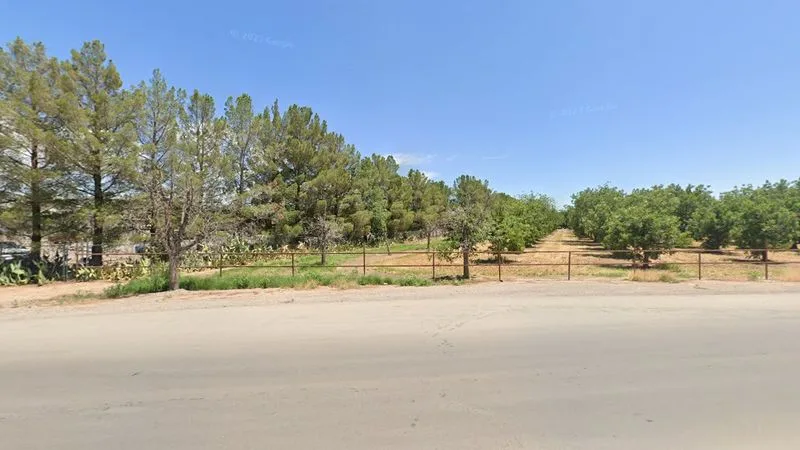 Pecan orchards and roadside stands