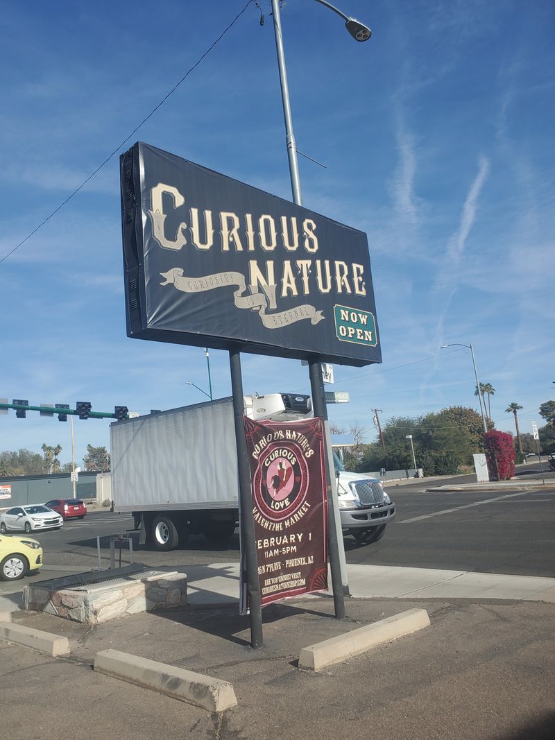 Tourist Trap Curiosity Shops