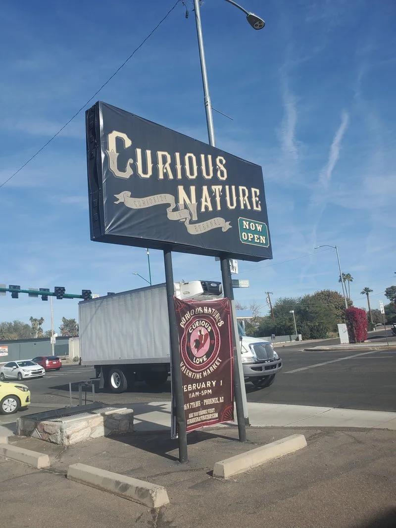 Tourist Trap Curiosity Shops
