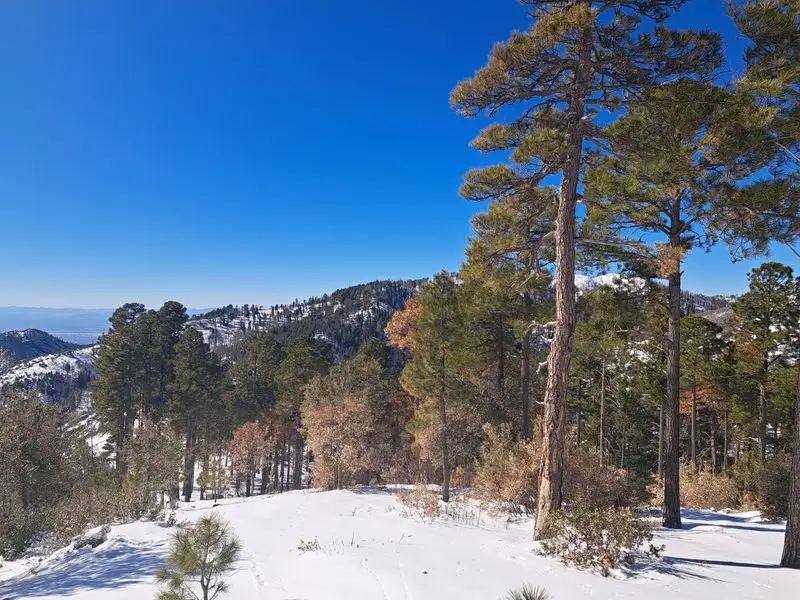 Seasonal conditions and weather strategy