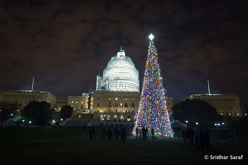 U.S. Capitol Christmas Tree, Washington, D.C.