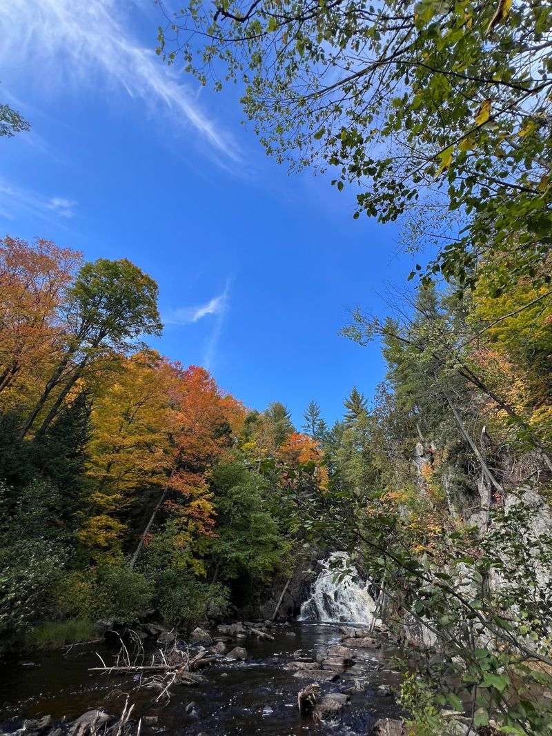 Scenery Highlights and Forest Character