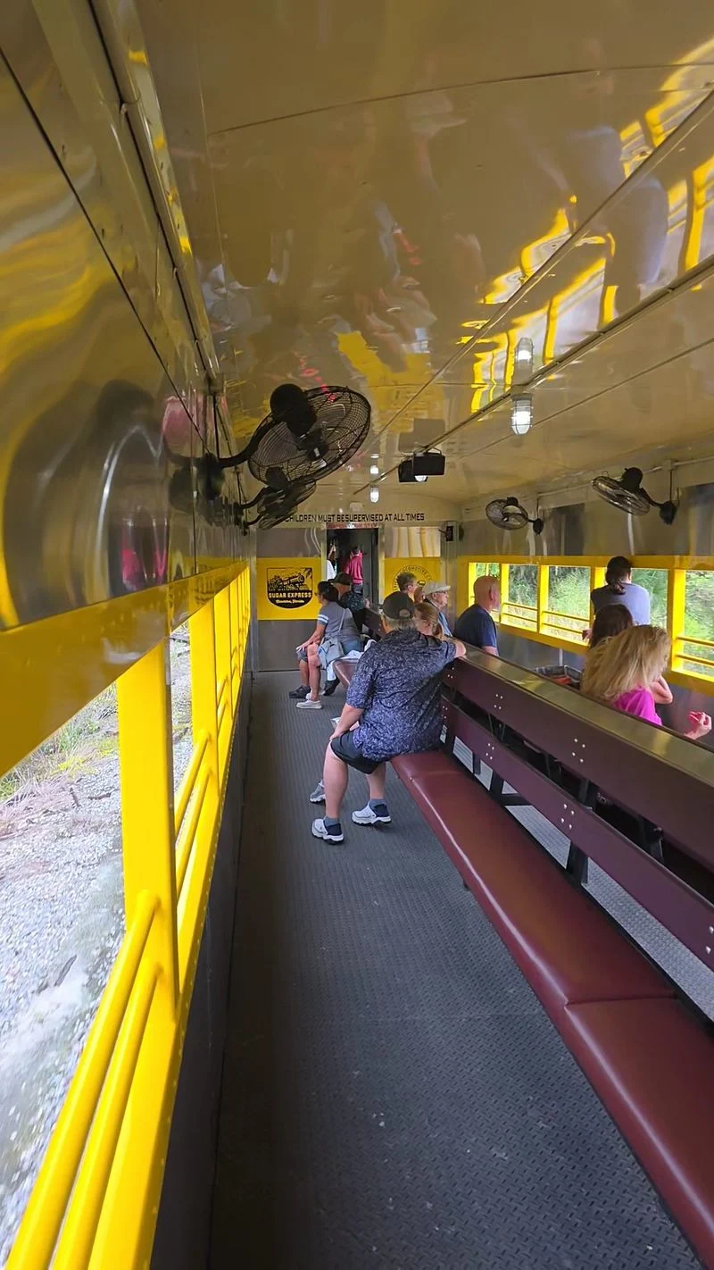 Onboard experience and seating