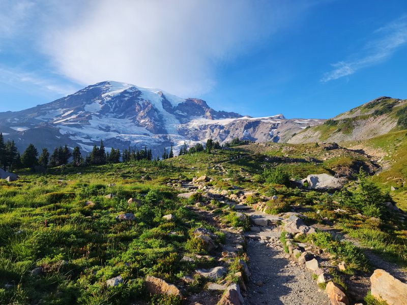 Mount Rainier National Park