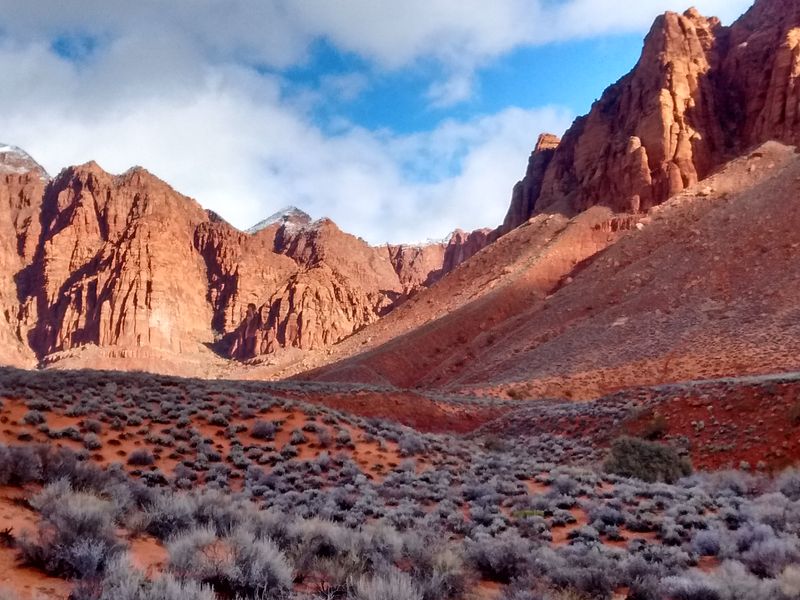 Red Cliffs Desert Reserve