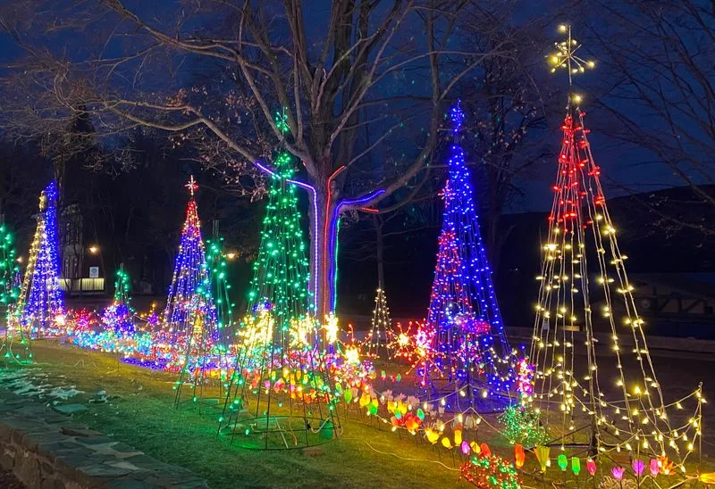 Lake George Winter Carnival (Lake George)