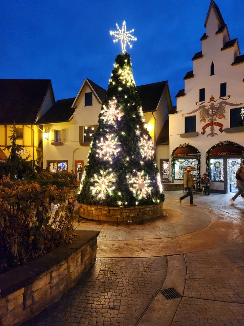 Frankenmuth and Cass River