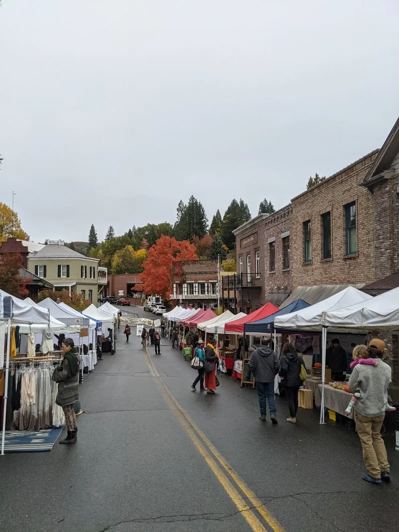 Community Spirit & Cultural Events