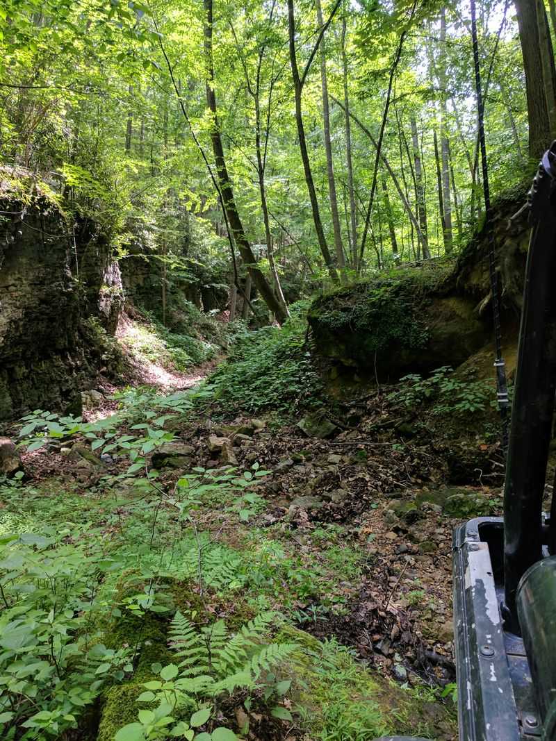 Deep Hollow — Monongalia County