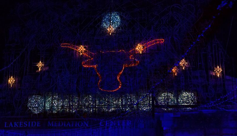 Enjoy the Mozart&rsquo;s Coffee Roasters Light Show