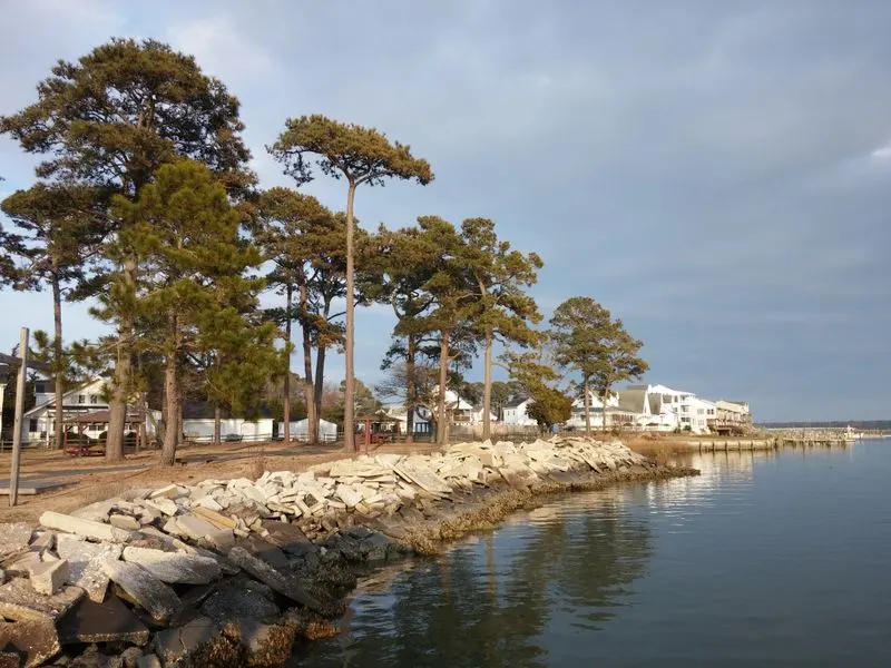 Chincoteague, Virginia