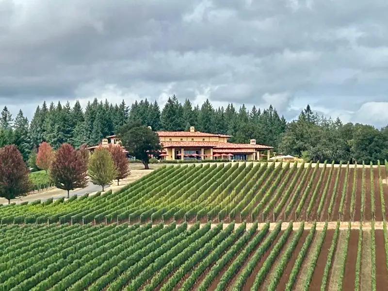 Willamette Valley - Domaine Serene