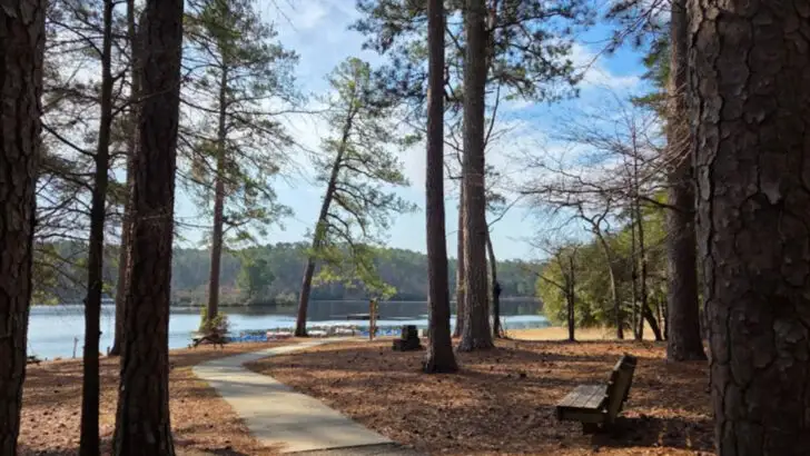 South Carolina&rsquo;s Lightly Traveled State Parks That Guests Say Feel Ideal in Winter