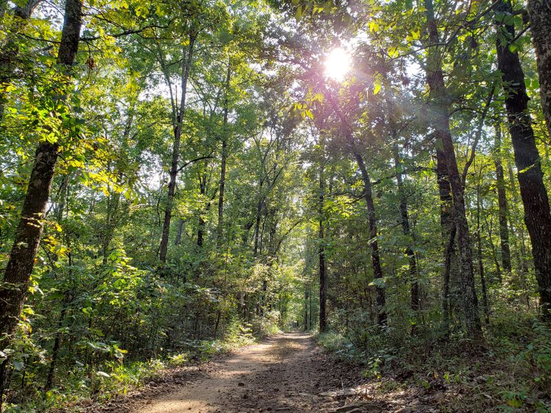 Hiking Trails for Peaceful Exploration