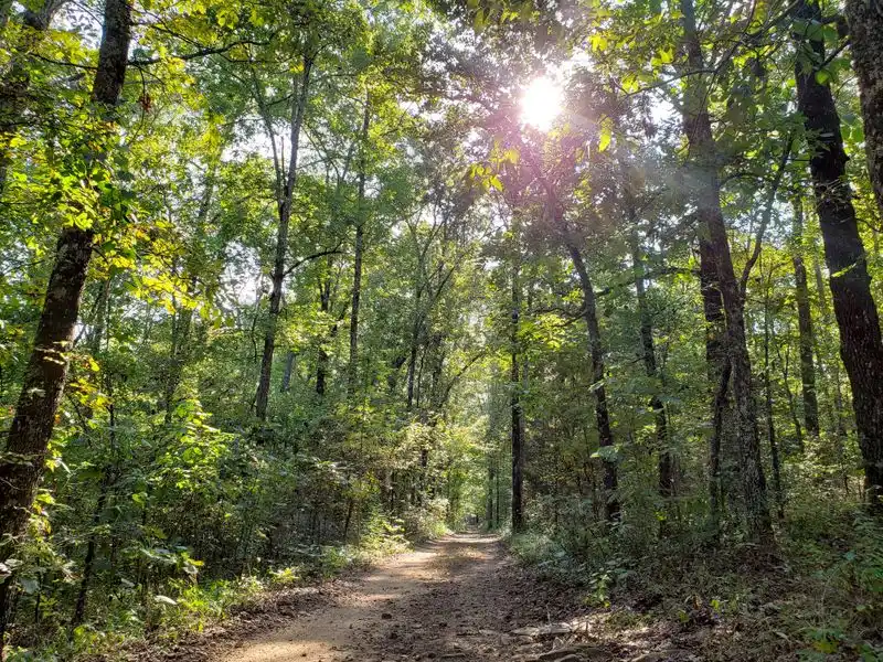 Hiking Trails for Peaceful Exploration