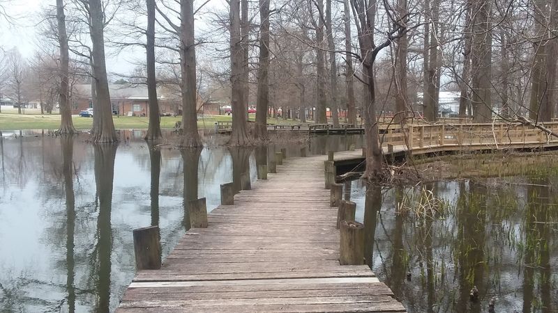 Reelfoot Lake Area (Lake County)