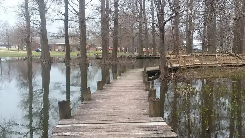 Reelfoot Lake Area (Lake County)