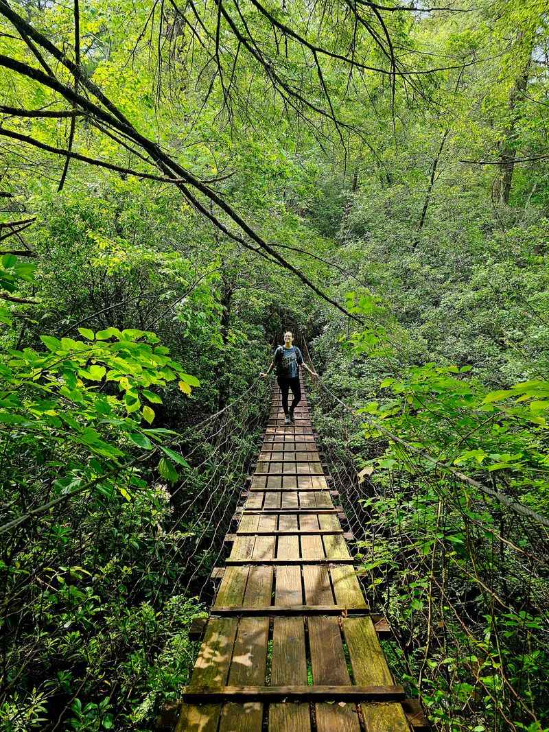 Savage Gulf Stone Door
