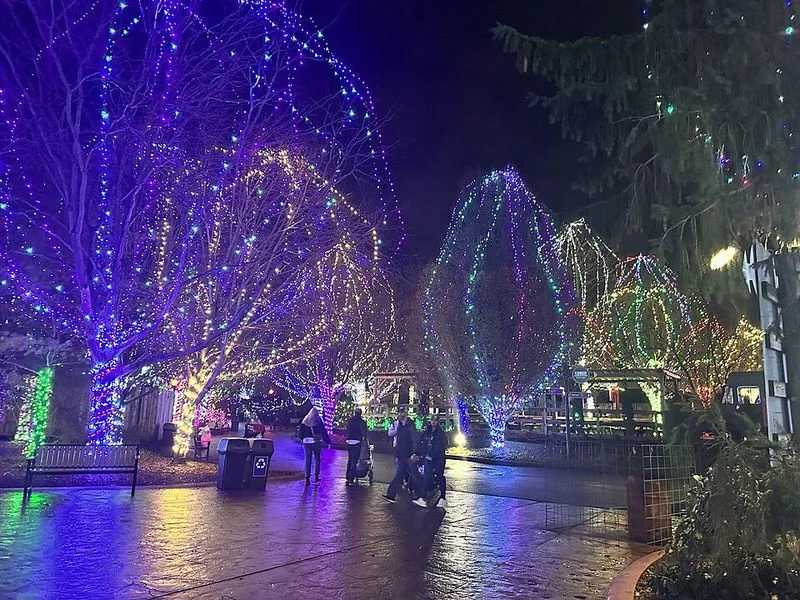 Columbus Zoo Wildlights, Columbus
