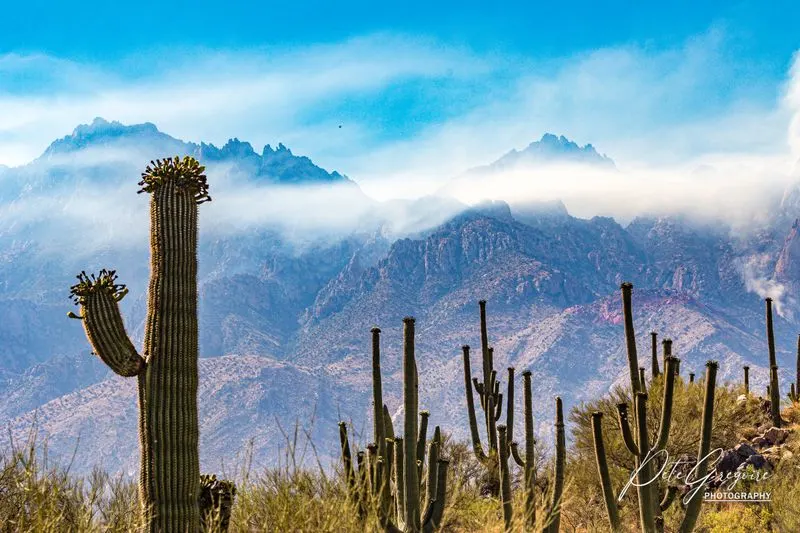 Geology of the Catalina Highway corridor