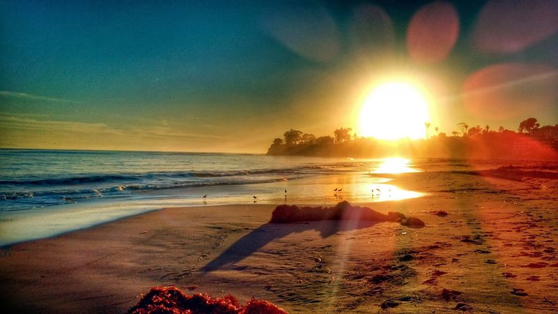 Beach Bonfires and Coastal Walks
